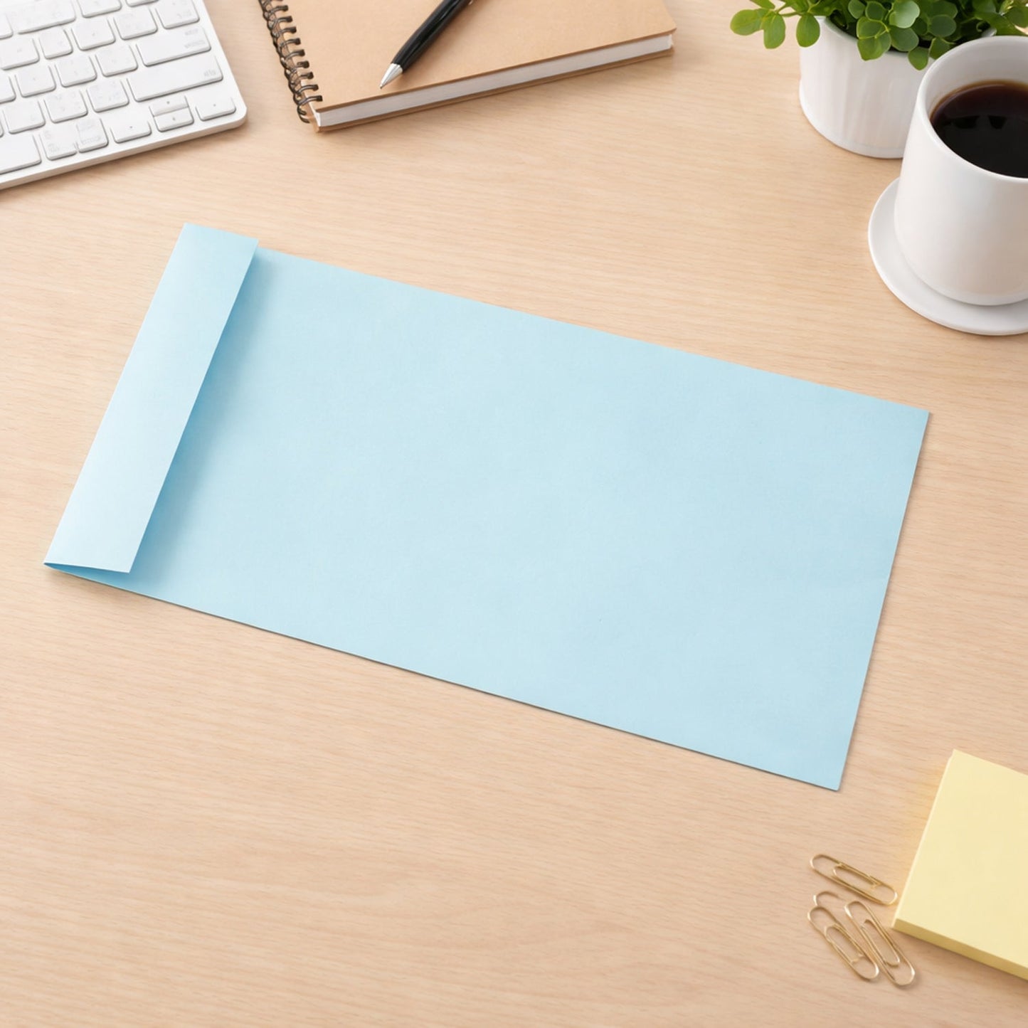 Big document envelope