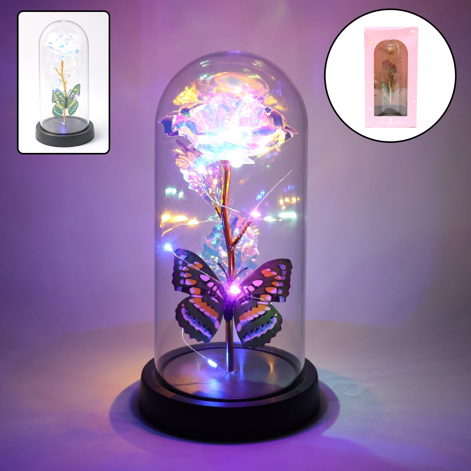 Dream Glow Eternal Rose