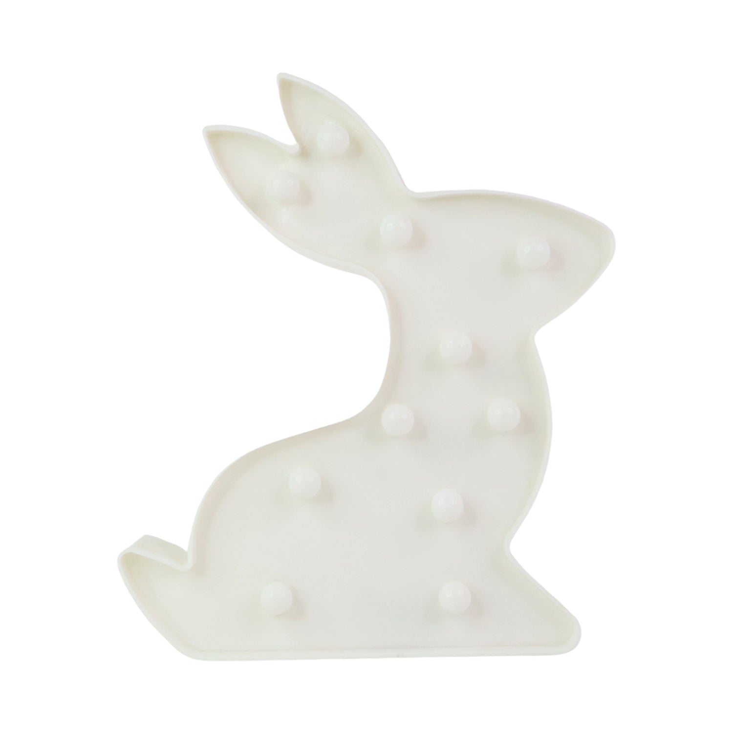LED Decorative Night Light