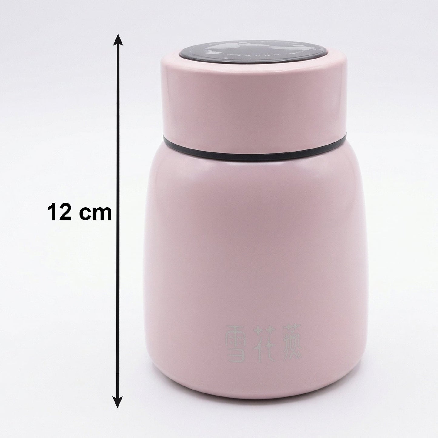 compact insulated bottle 300ml