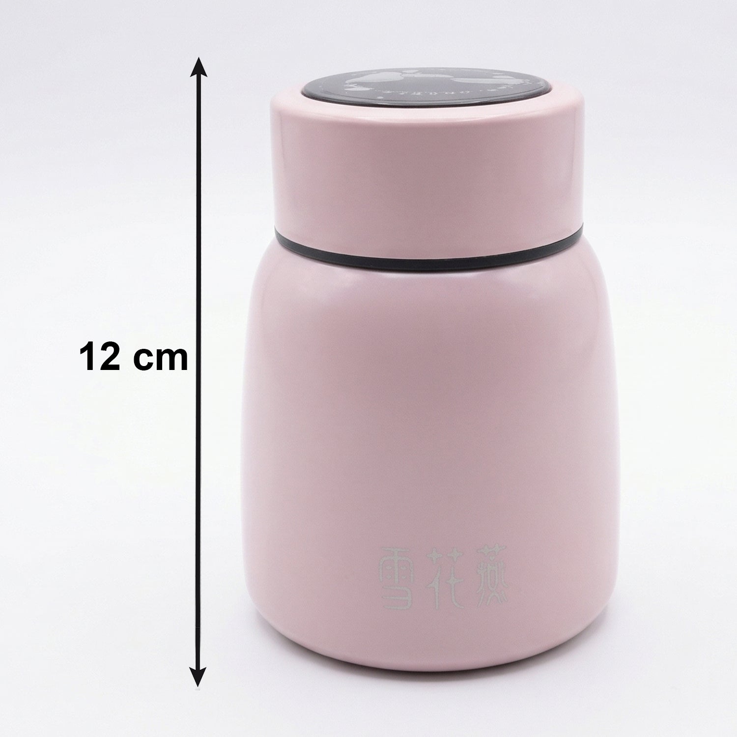 compact insulated bottle 300ml